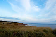 Maritimes | Canadian Survival Environment