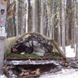 Shelter Building Techniques